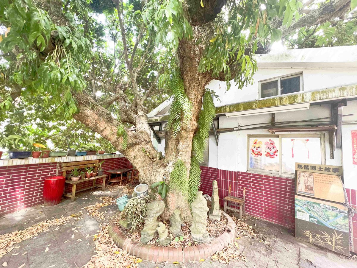 苗栗景點推薦獅潭仙草、後角烘培手作、幸福鐘樓、鐘樓古道、有機書店、獅生活減塑概念館、新店仙草、蜂蜜屋、獅潭教會、楓樹伯公廟、豬皮伯公廟、神秘小徑 (43).jpg 苗栗景點推薦獅潭仙草、後角烘培手作、幸福鐘樓、鐘樓古道、有機書店、獅生活減塑概念館、新店仙草、蜂蜜屋、獅潭教會、楓樹伯公廟、豬皮伯公廟、神秘小徑 (43).jpg