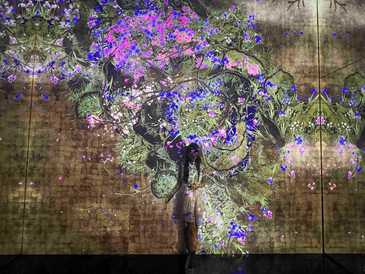 威訊ESIM (16).jpg 威訊ESIM (16).jpg