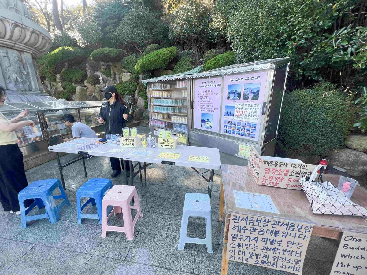 KKday釡山精華景點一日遊 (38).jpg KKday釡山精華景點一日遊 (38).jpg