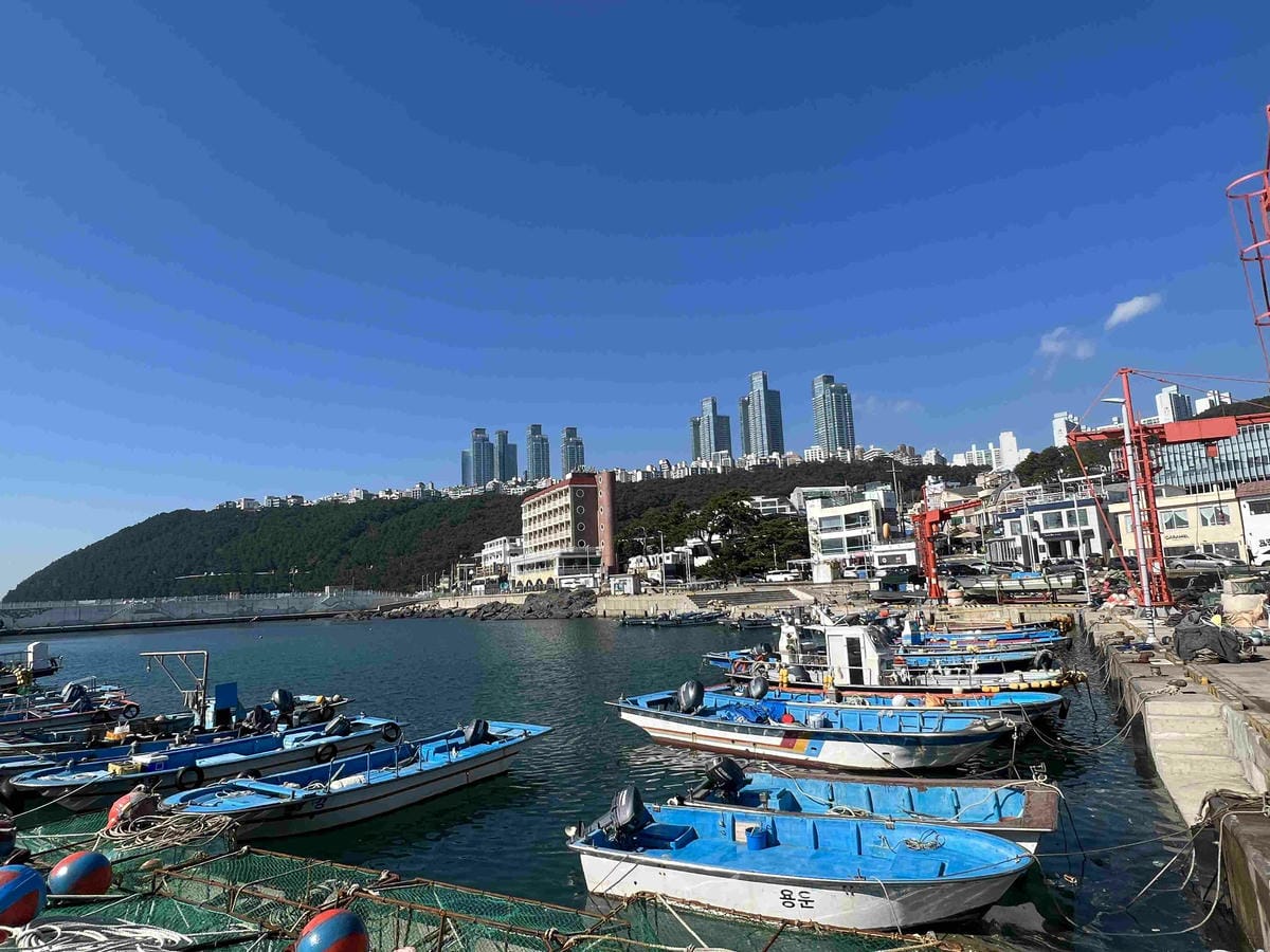 KKday釡山精華景點一日遊 (61).jpg KKday釡山精華景點一日遊 (61).jpg