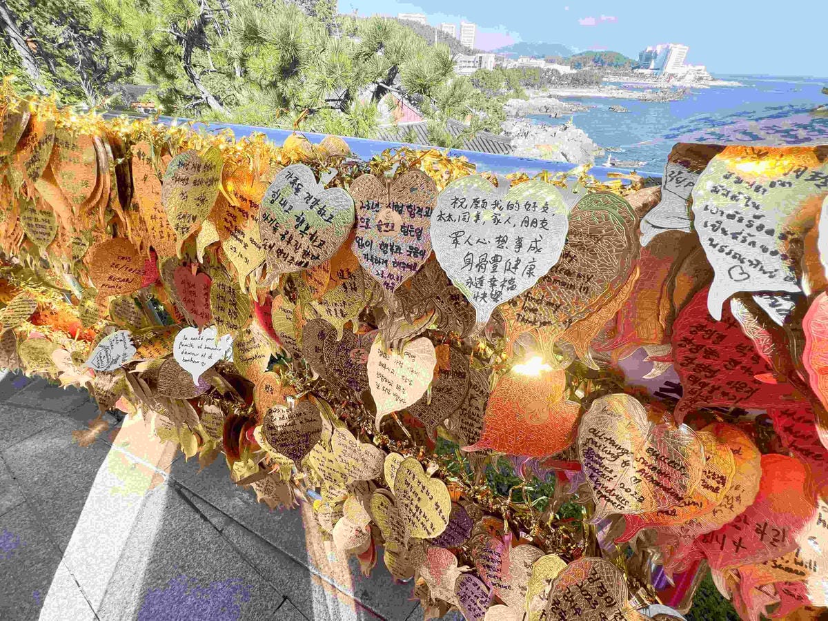 KKday釡山精華景點一日遊 (43).jpg KKday釡山精華景點一日遊 (43).jpg