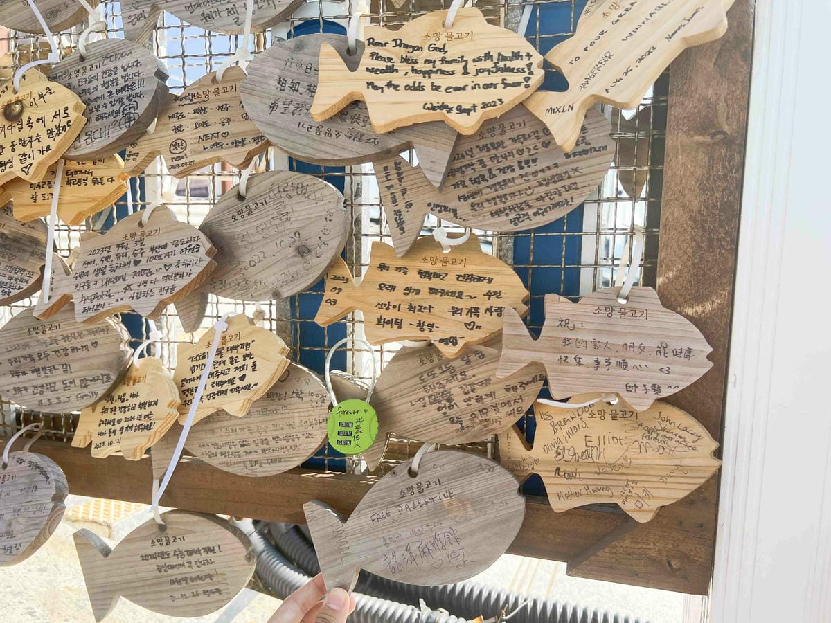 KKday釡山精華景點一日遊 (85).jpg KKday釡山精華景點一日遊 (85).jpg