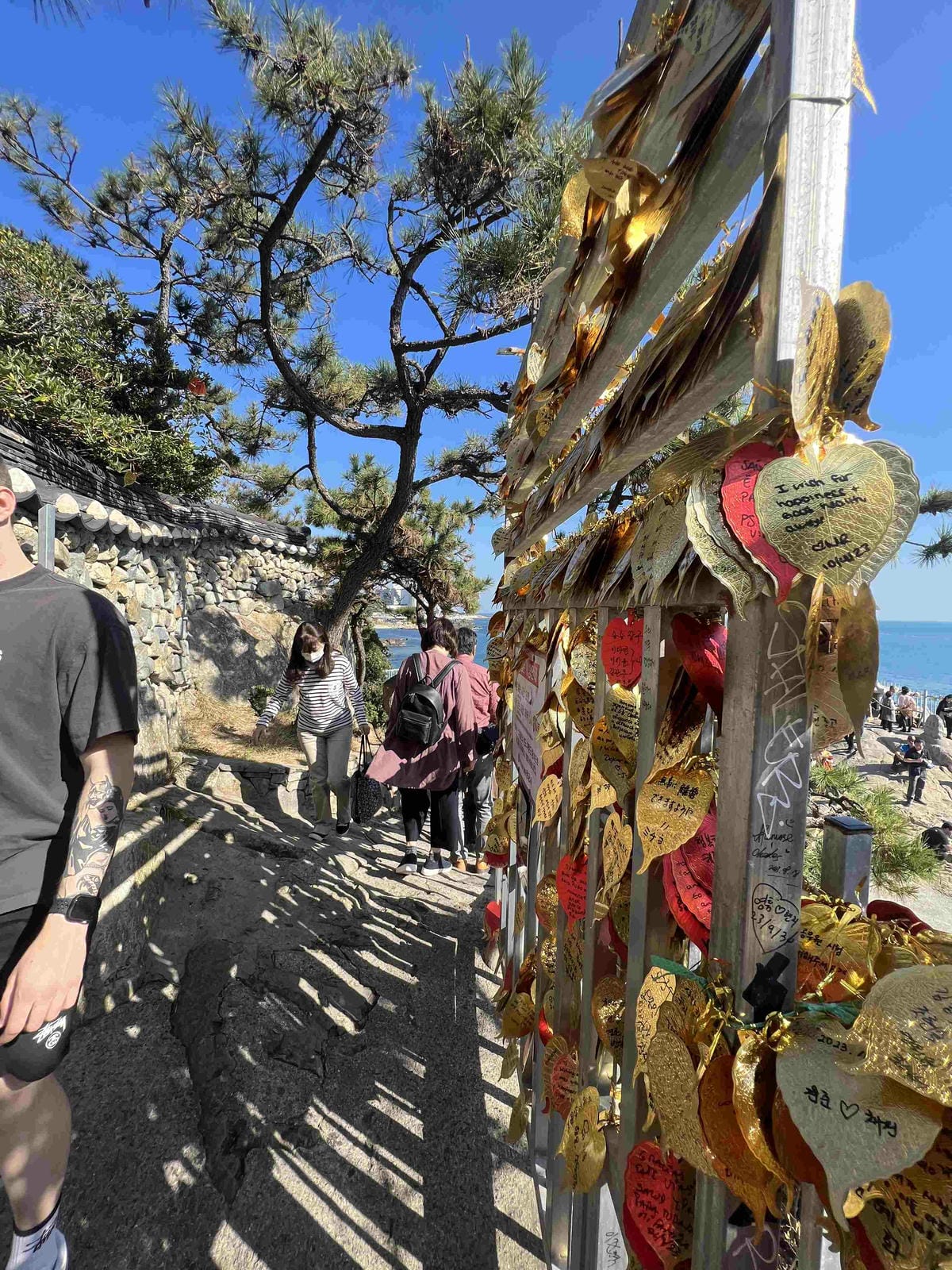 KKday釡山精華景點一日遊 (51).jpg KKday釡山精華景點一日遊 (51).jpg