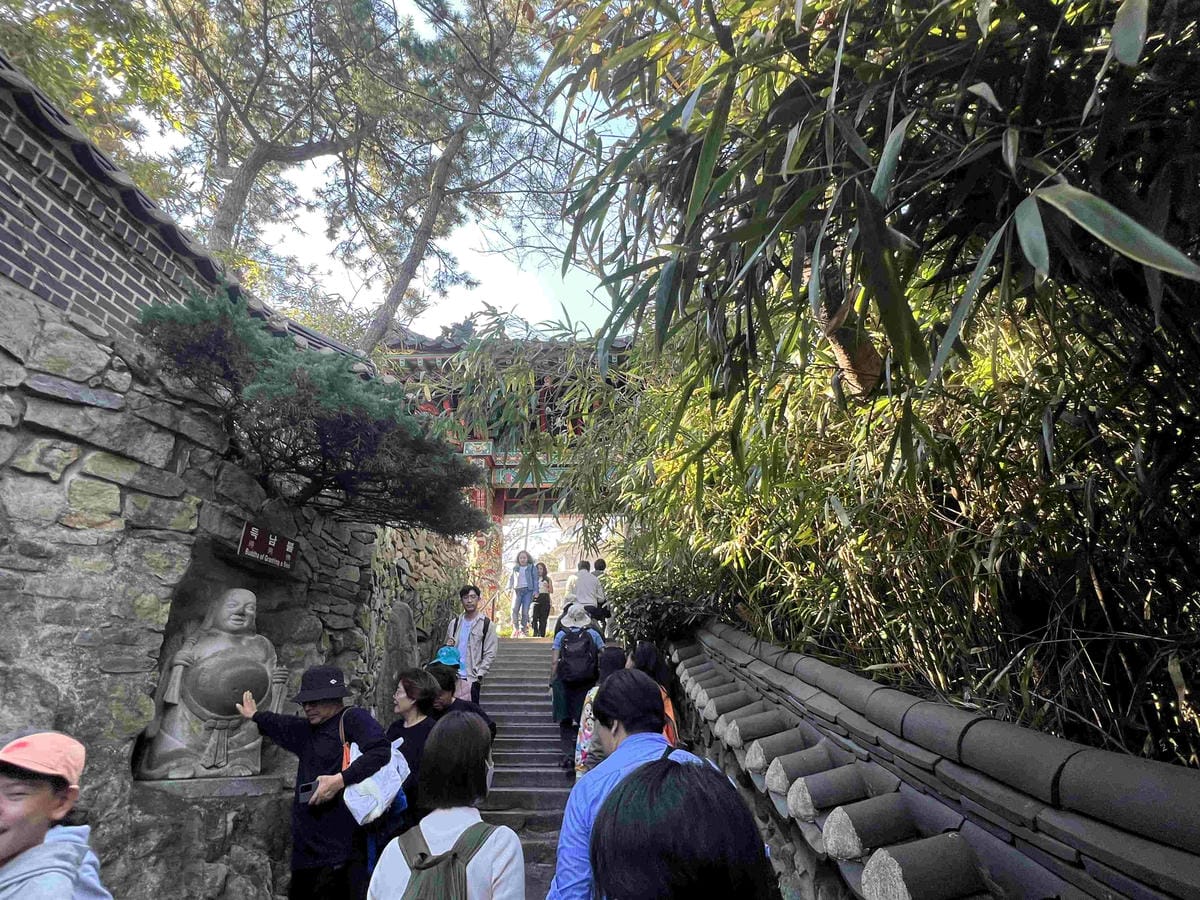 KKday釡山精華景點一日遊 (56).jpg KKday釡山精華景點一日遊 (56).jpg