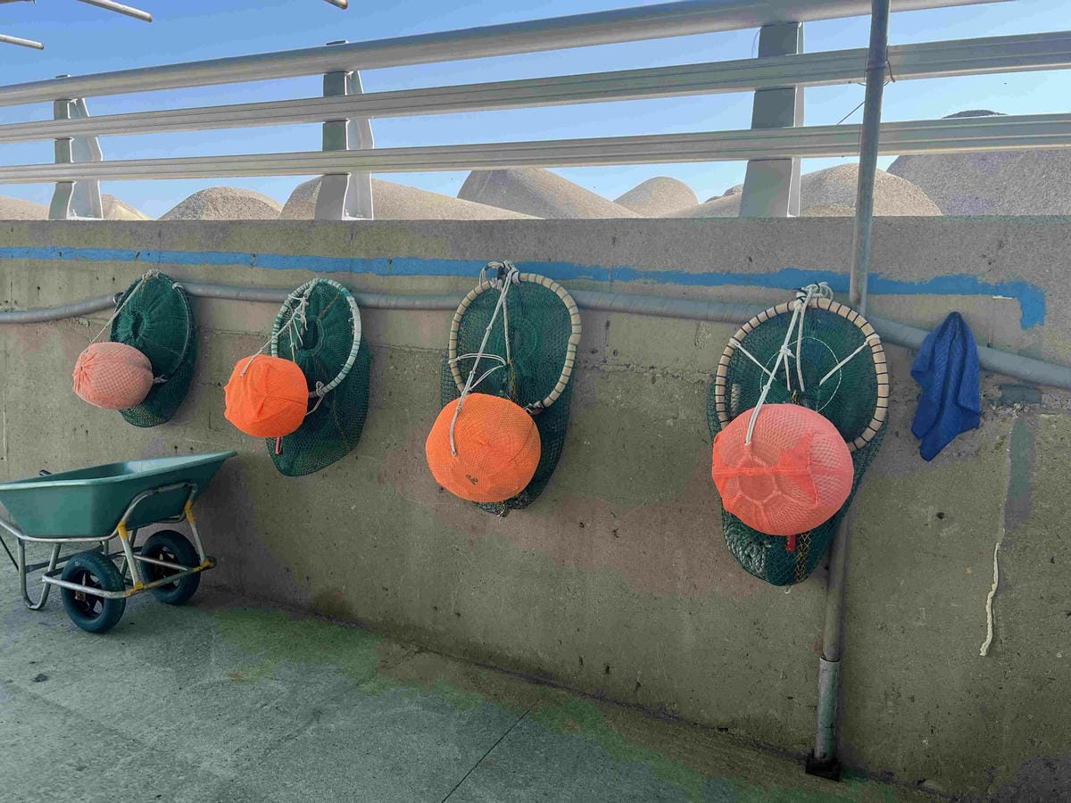 KKday釡山精華景點一日遊 (59).jpg KKday釡山精華景點一日遊 (59).jpg