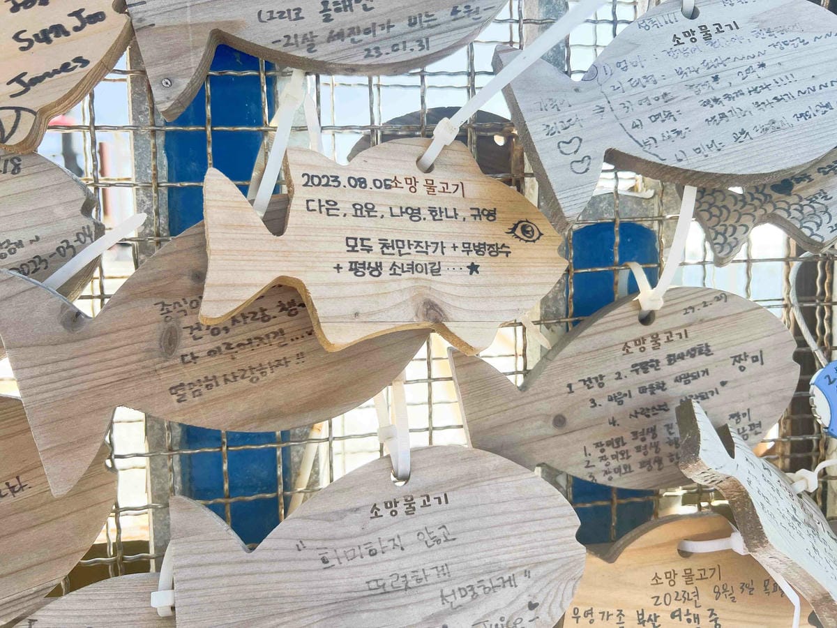 KKday釡山精華景點一日遊 (86).jpg KKday釡山精華景點一日遊 (86).jpg