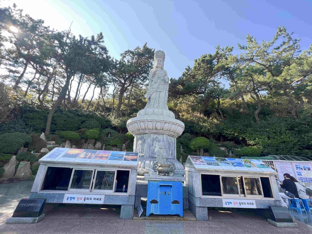 KKday釡山精華景點一日遊 (45).jpg KKday釡山精華景點一日遊 (45).jpg