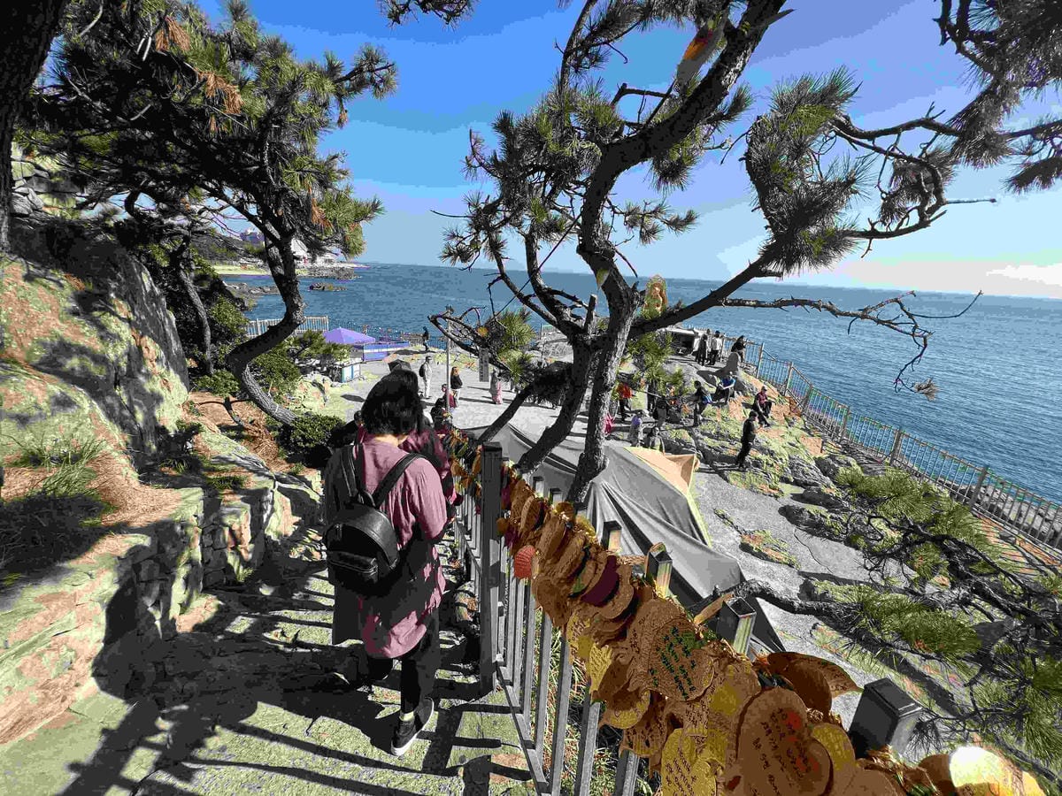 KKday釡山精華景點一日遊 (52).jpg KKday釡山精華景點一日遊 (52).jpg