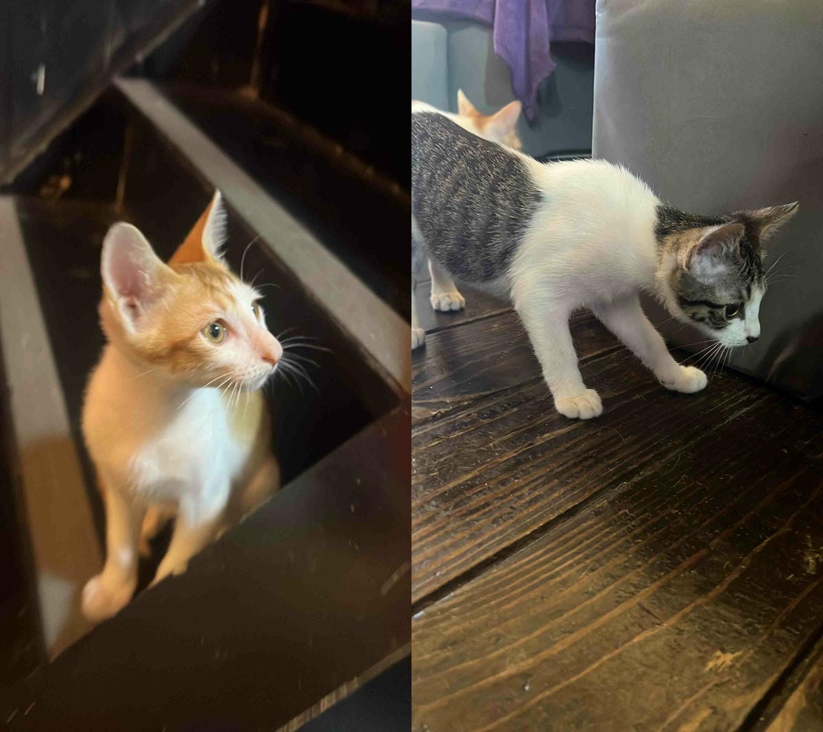 奔FUN足體工坊 (12).jpg 奔FUN足體工坊 (12).jpg