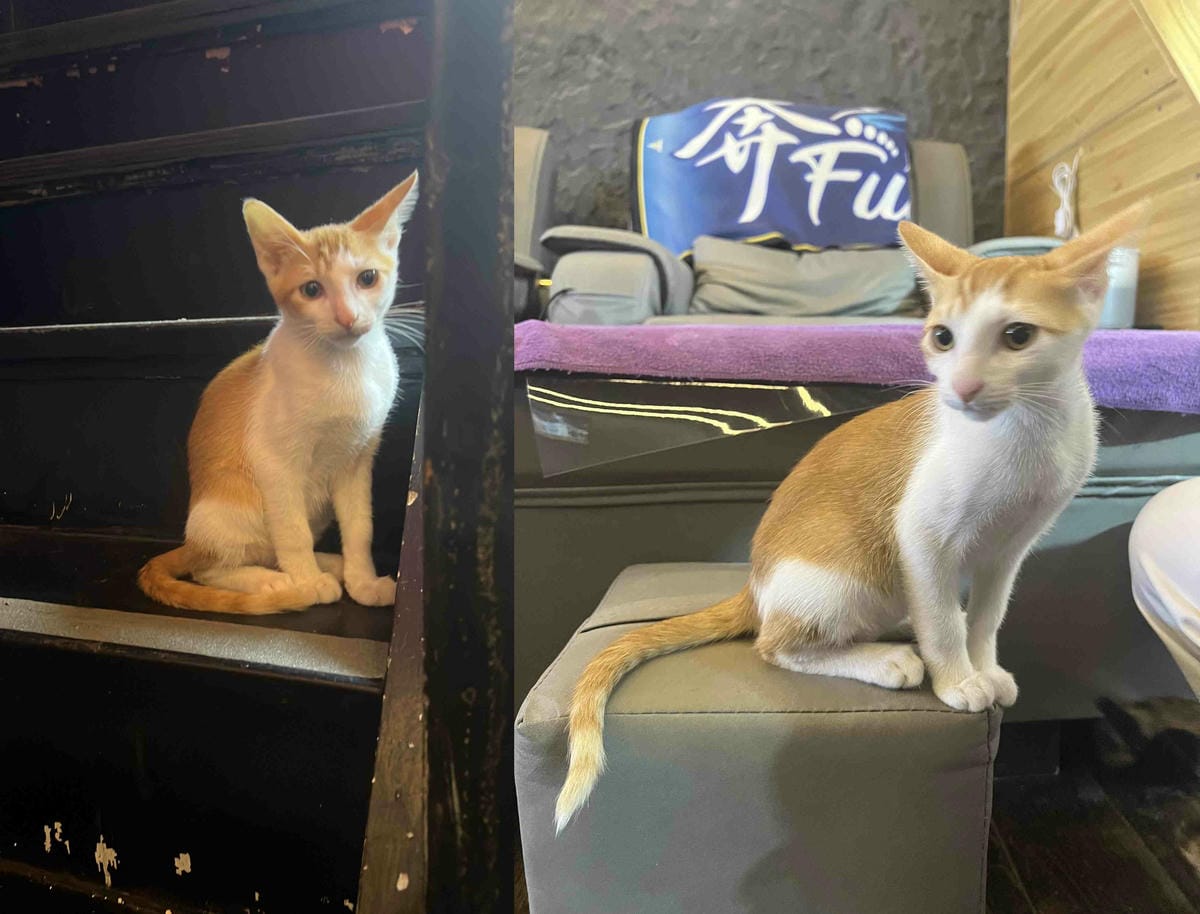 奔FUN足體工坊 (15).jpg