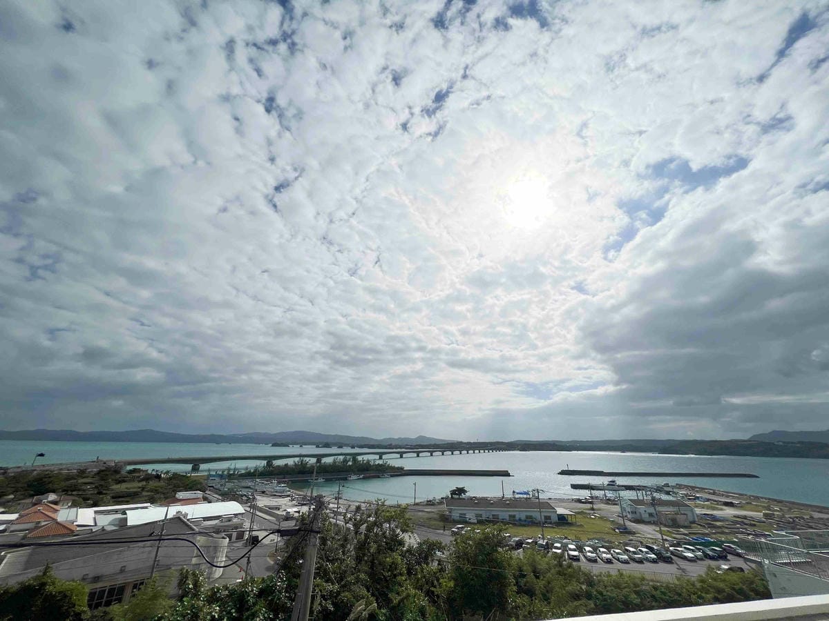 WORLD KING日本上網卡E-SIM (73).jpg