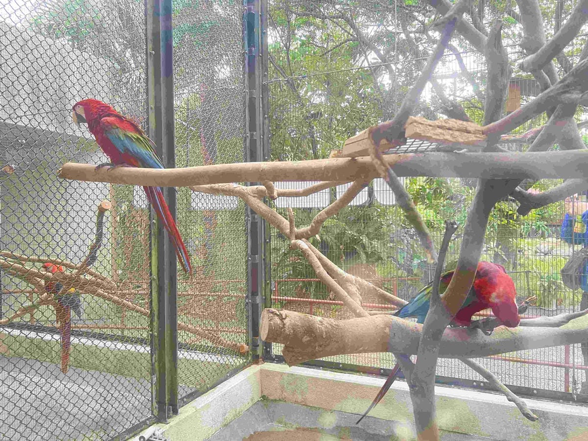 WORLD KING日本上網卡E-SIM (66).jpg