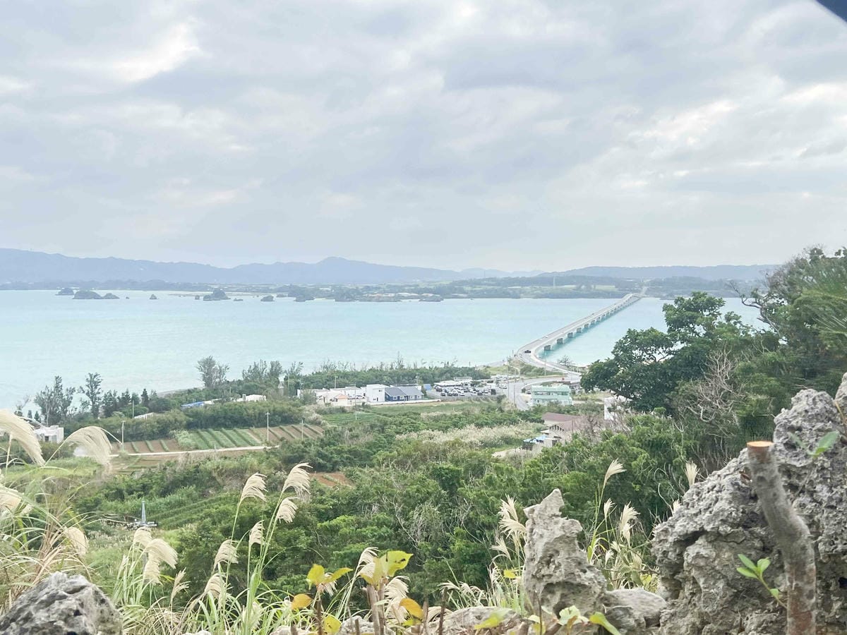 WORLD KING日本上網卡E-SIM (83).jpg