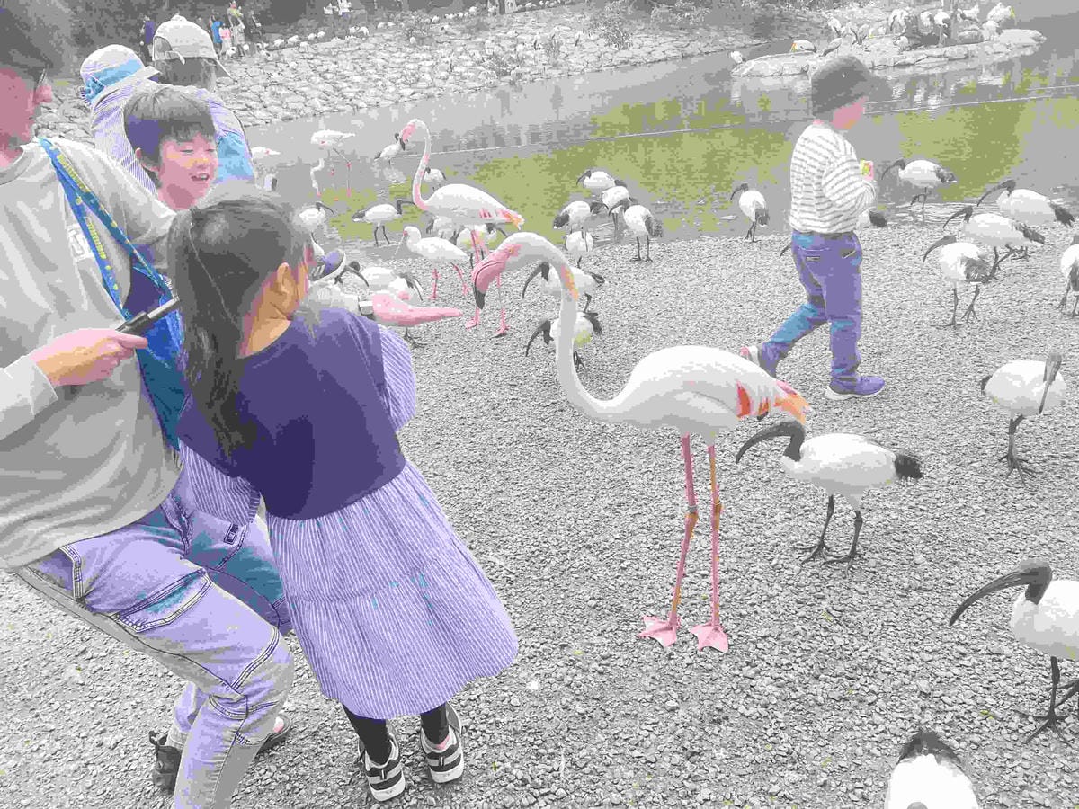 WORLD KING日本上網卡E-SIM (60).jpg