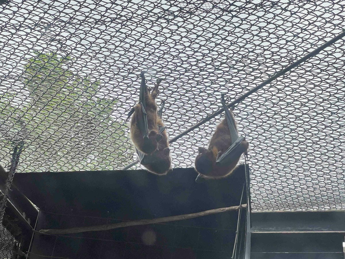 WORLD KING日本上網卡E-SIM (68).jpg