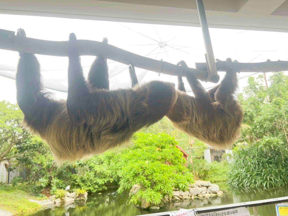 WORLD KING日本上網卡E-SIM (69).jpg