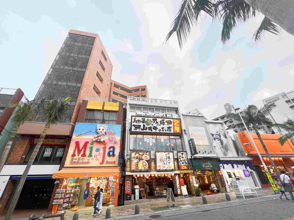 WORLD KING日本上網卡E-SIM (106).jpg