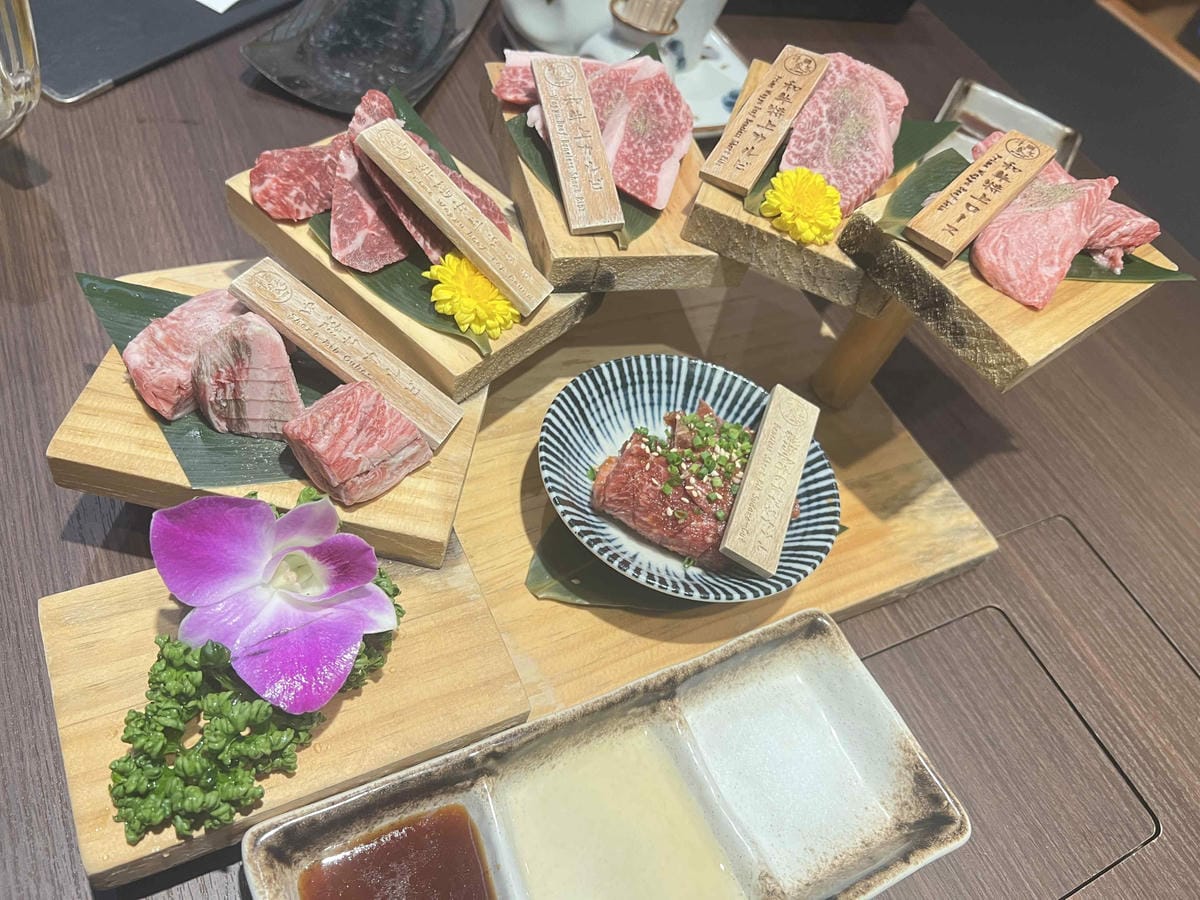 WORLD KING日本上網卡E-SIM (34).jpg