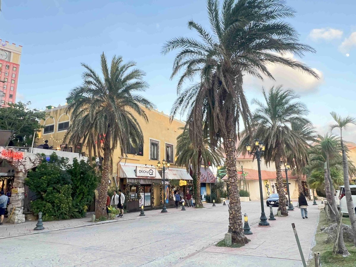 WORLD KING日本上網卡E-SIM (27).jpg