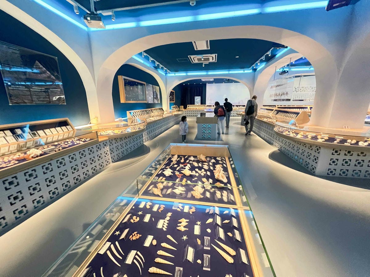 WORLD KING日本上網卡E-SIM (85).jpg