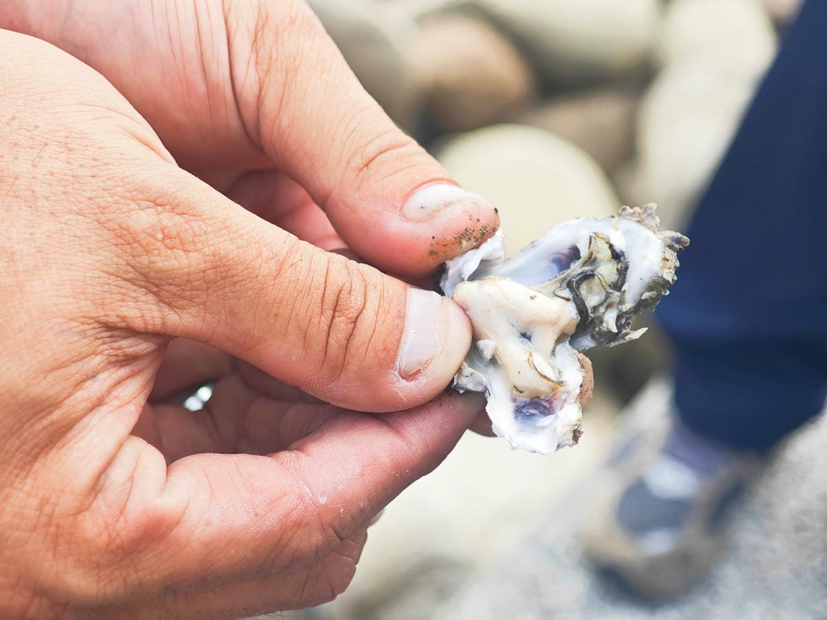 井仔腳瓦盤鹽田 (35).jpg 井仔腳瓦盤鹽田 (35).jpg