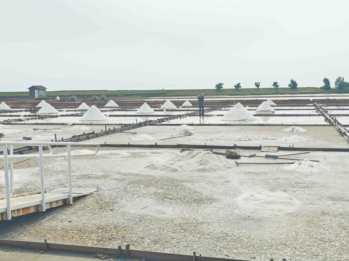 井仔腳瓦盤鹽田 (29).jpg 井仔腳瓦盤鹽田 (29).jpg