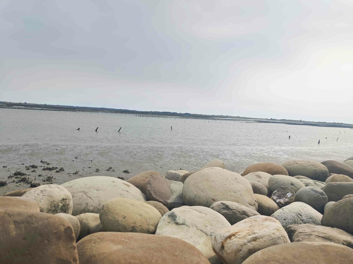 井仔腳瓦盤鹽田 (33).jpg 井仔腳瓦盤鹽田 (33).jpg