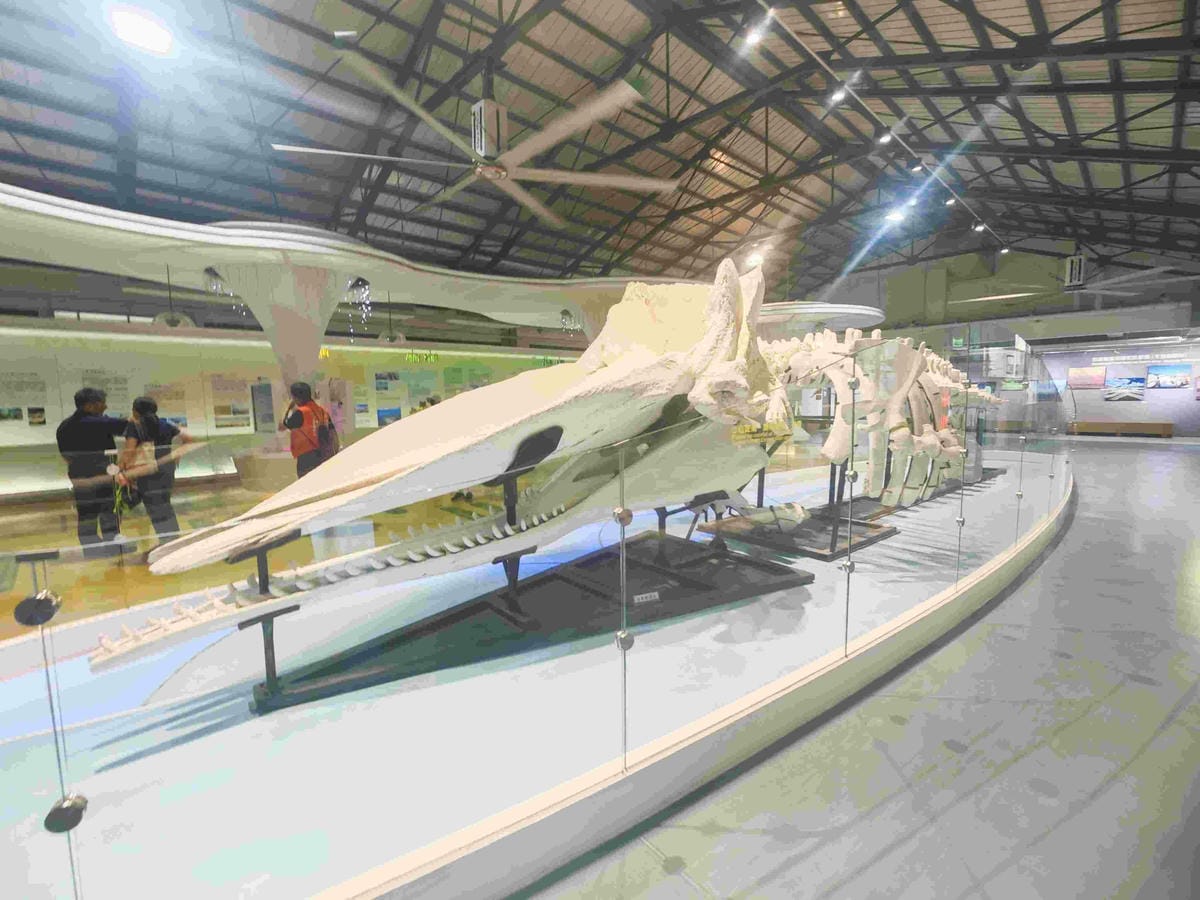 北門遊客中心+錢來也創始店 (5).jpg 北門遊客中心+錢來也創始店 (5).jpg