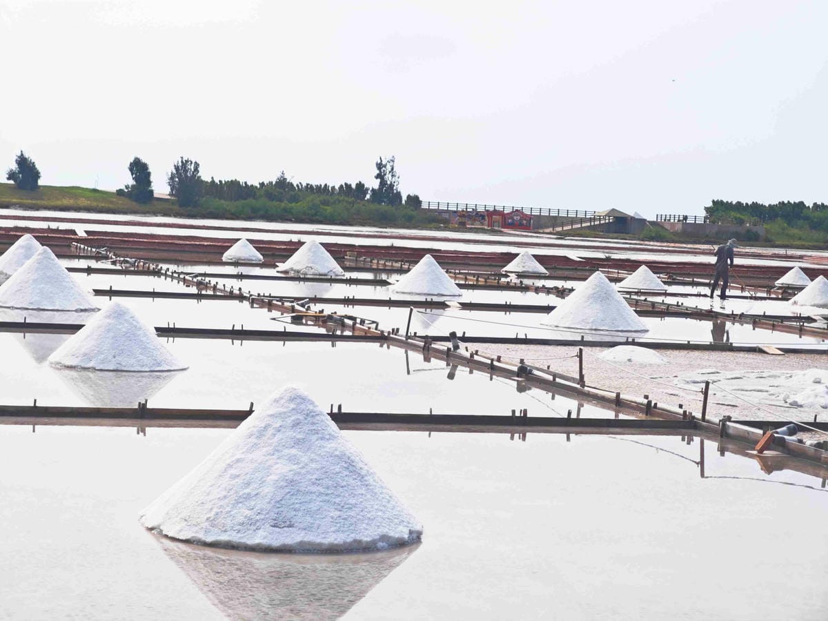 井仔腳瓦盤鹽田 (41).jpg 井仔腳瓦盤鹽田 (41).jpg