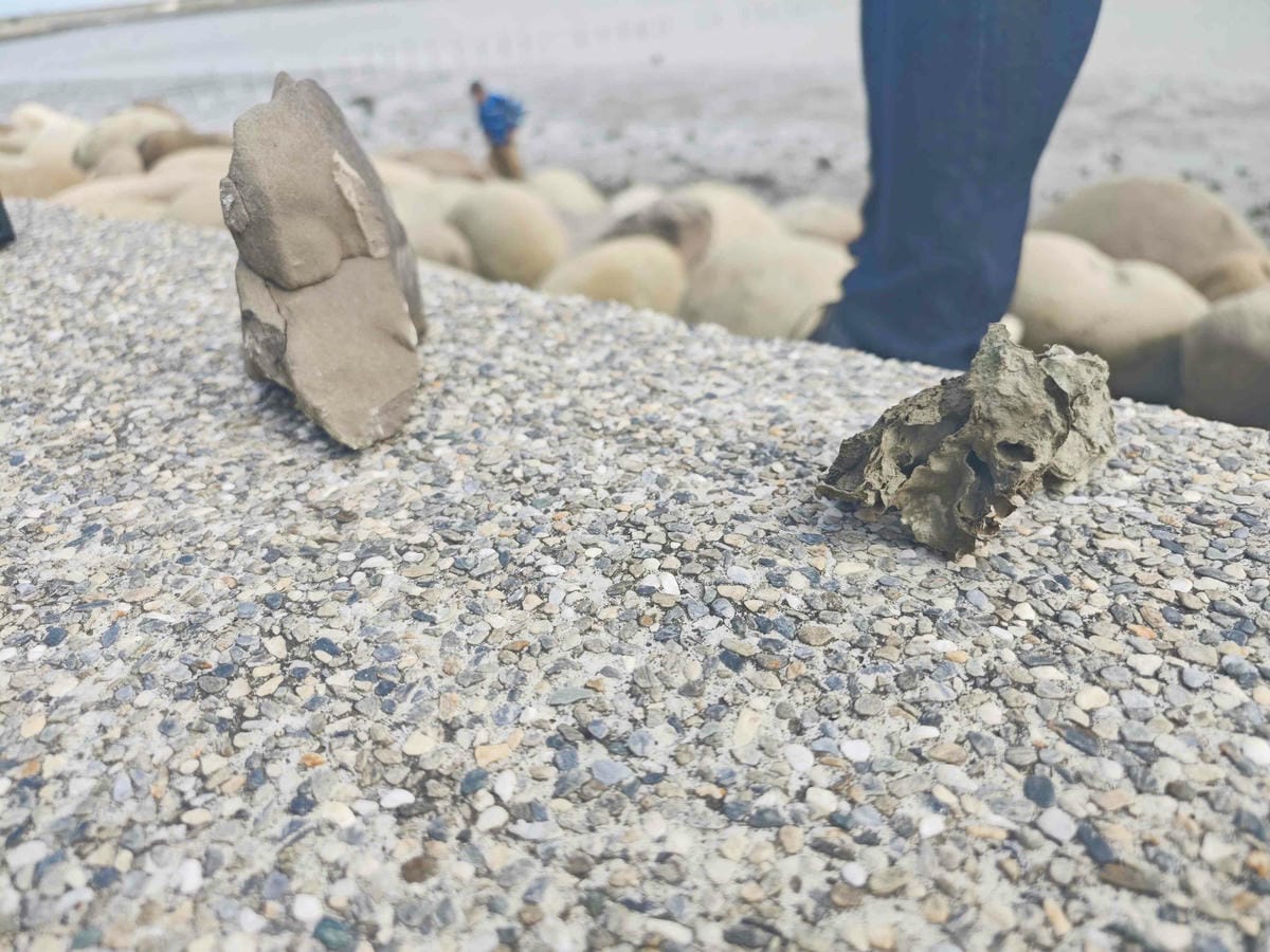 井仔腳瓦盤鹽田 (34).jpg 井仔腳瓦盤鹽田 (34).jpg