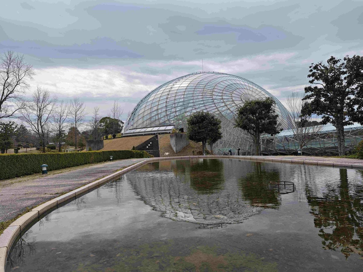 鳥取花回廊 (4).jpg 鳥取花回廊 (4).jpg