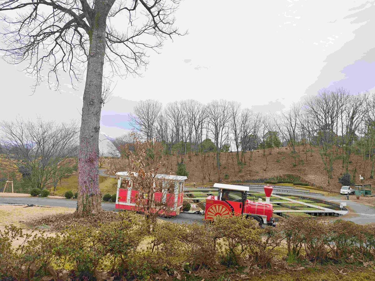 鳥取花回廊 (23).jpg 鳥取花回廊 (23).jpg