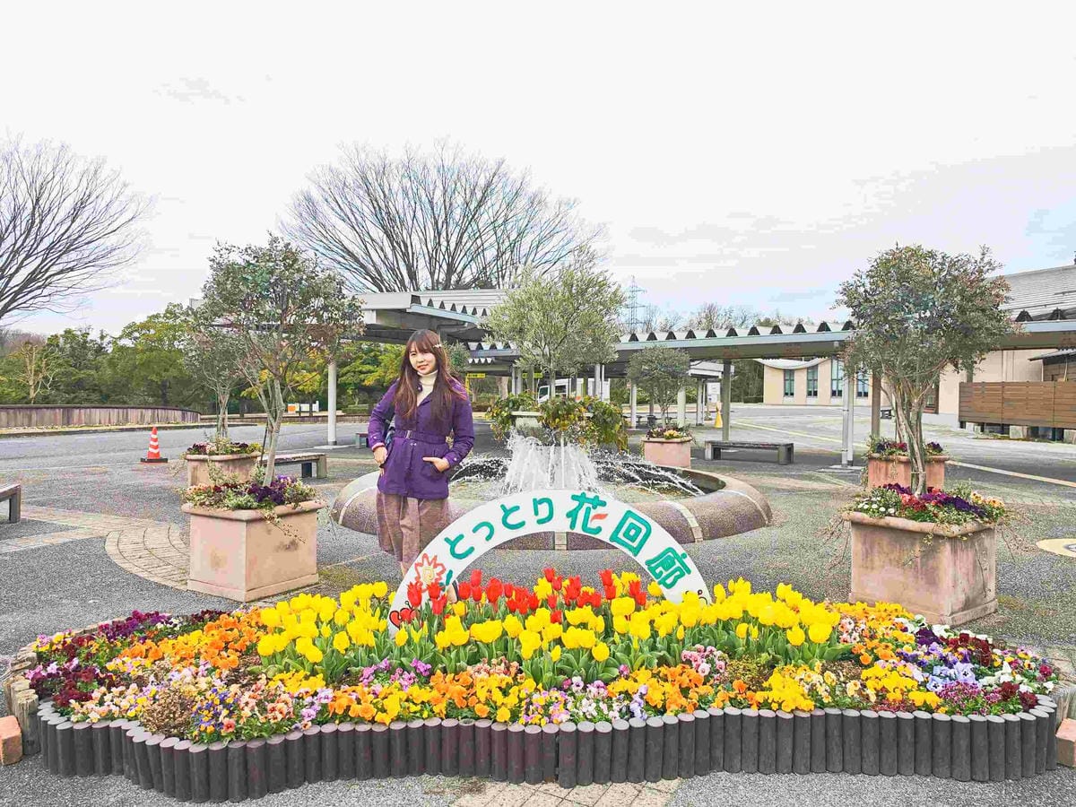 鳥取花回廊 (9).jpg 鳥取花回廊 (9).jpg