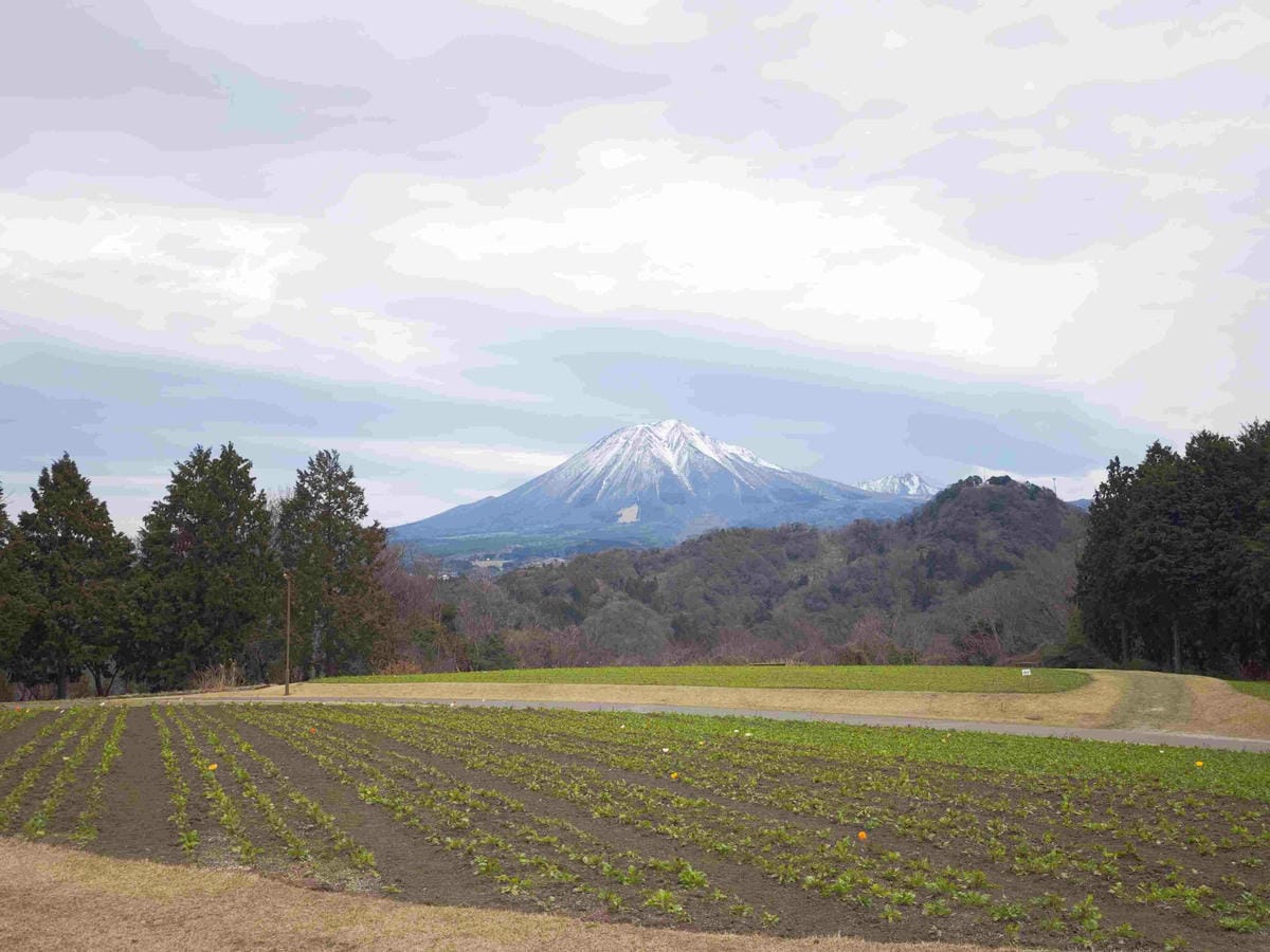 鳥取花回廊 (41).jpg 鳥取花回廊 (41).jpg
