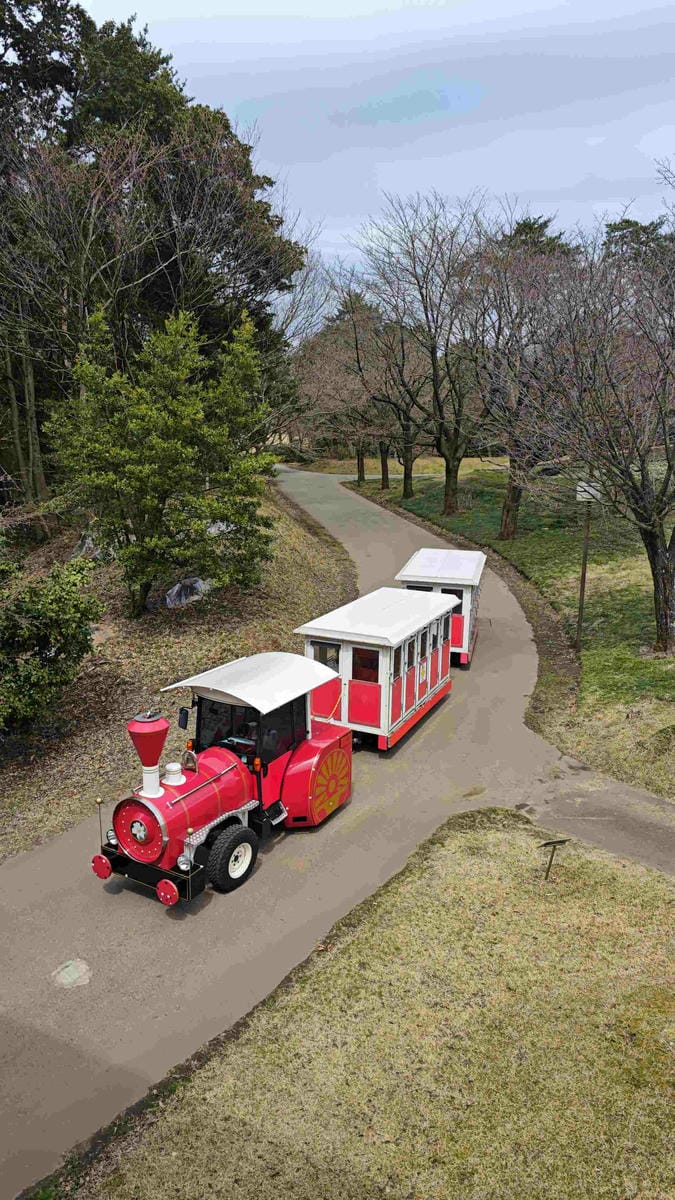 鳥取花回廊 (45).jpg 鳥取花回廊 (45).jpg