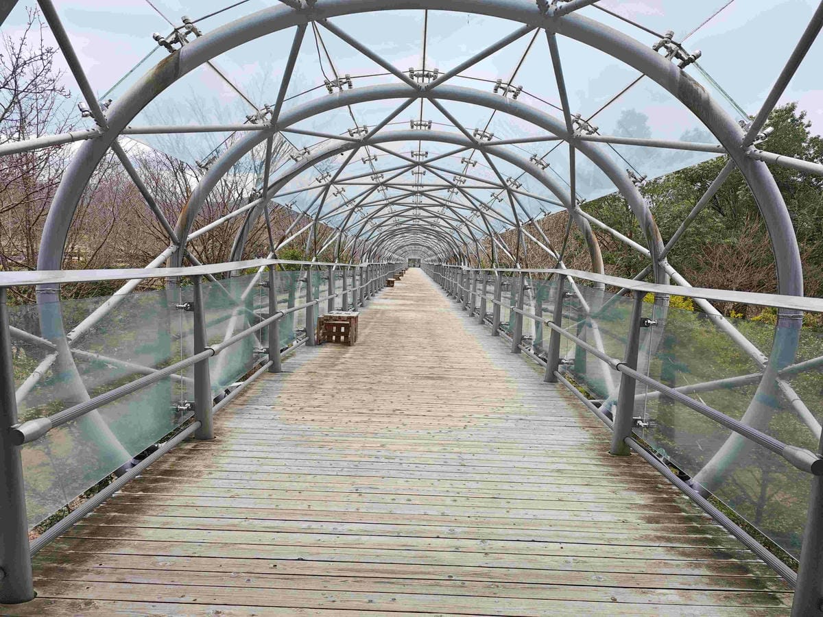 鳥取花回廊 (46).jpg