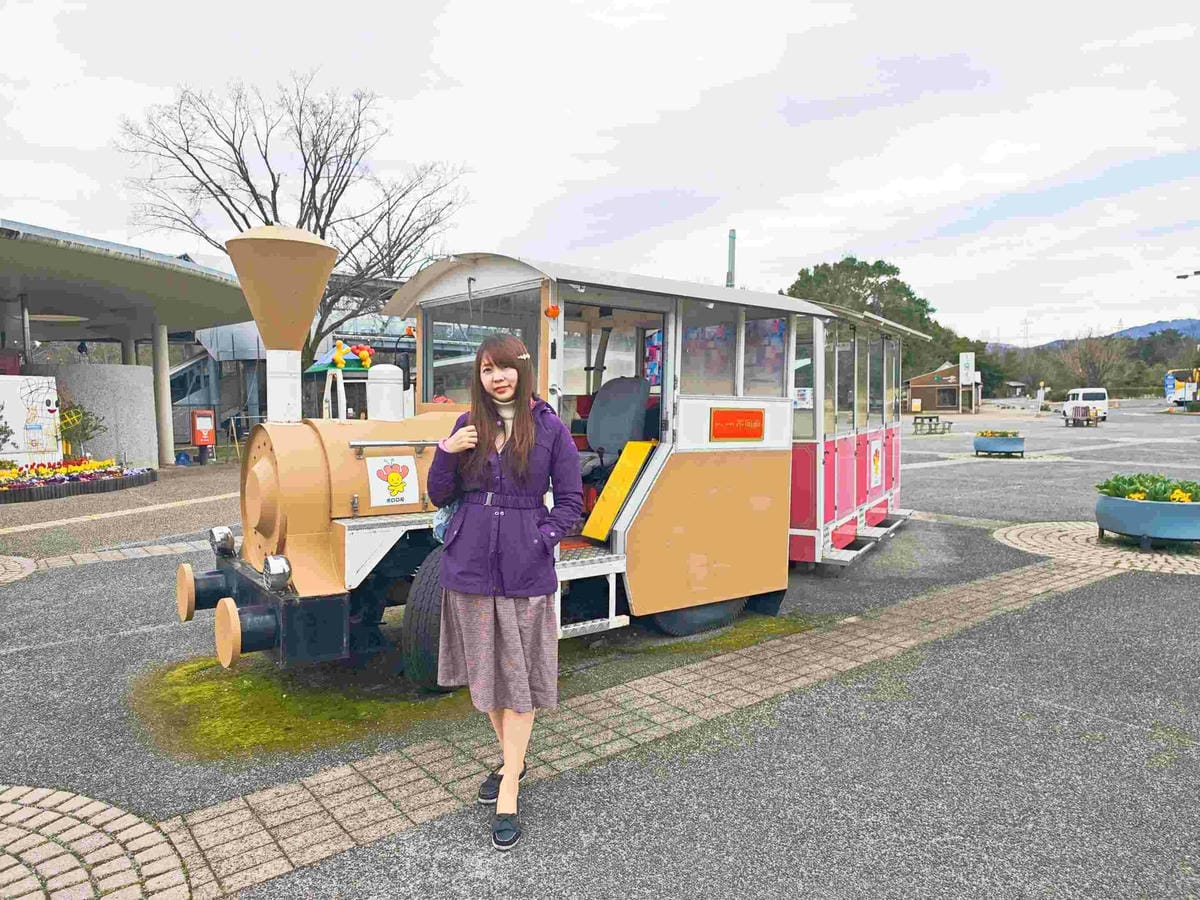 鳥取花回廊 (51).jpg 鳥取花回廊 (51).jpg