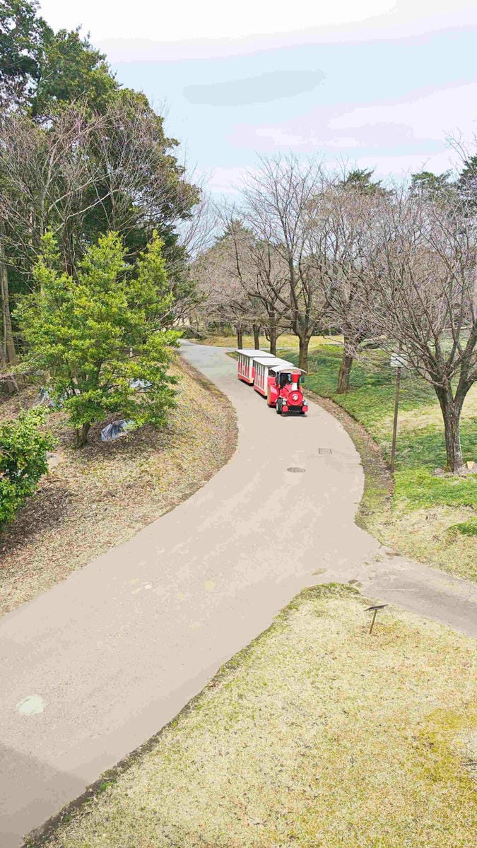 鳥取花回廊 (44).jpg 鳥取花回廊 (44).jpg