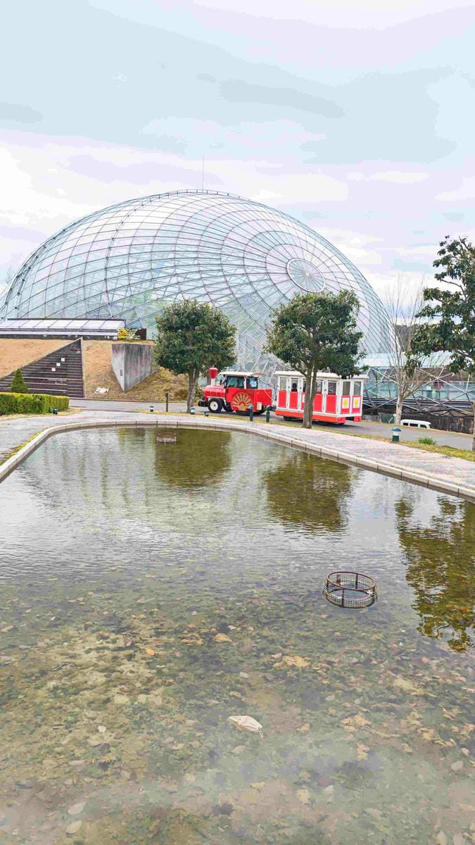 鳥取花回廊 (35).jpg 鳥取花回廊 (35).jpg