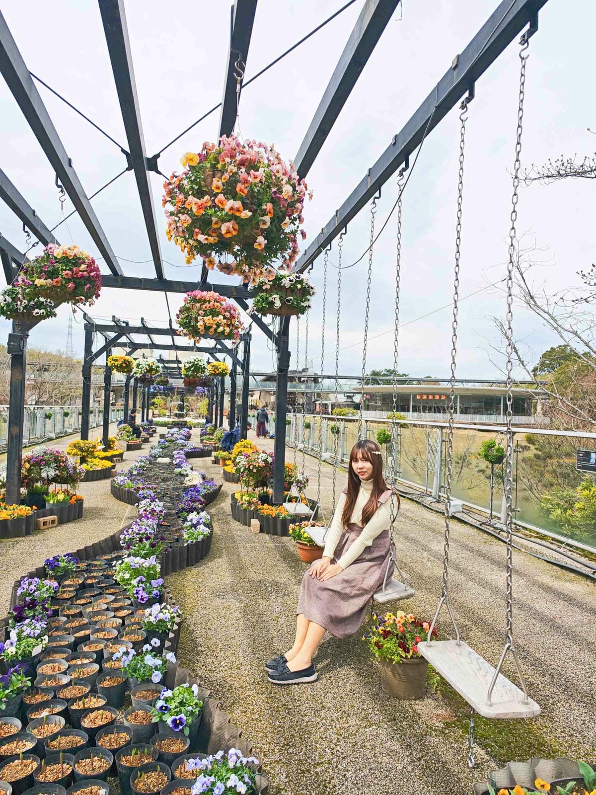 鳥取花回廊 (56).jpg 鳥取花回廊 (56).jpg