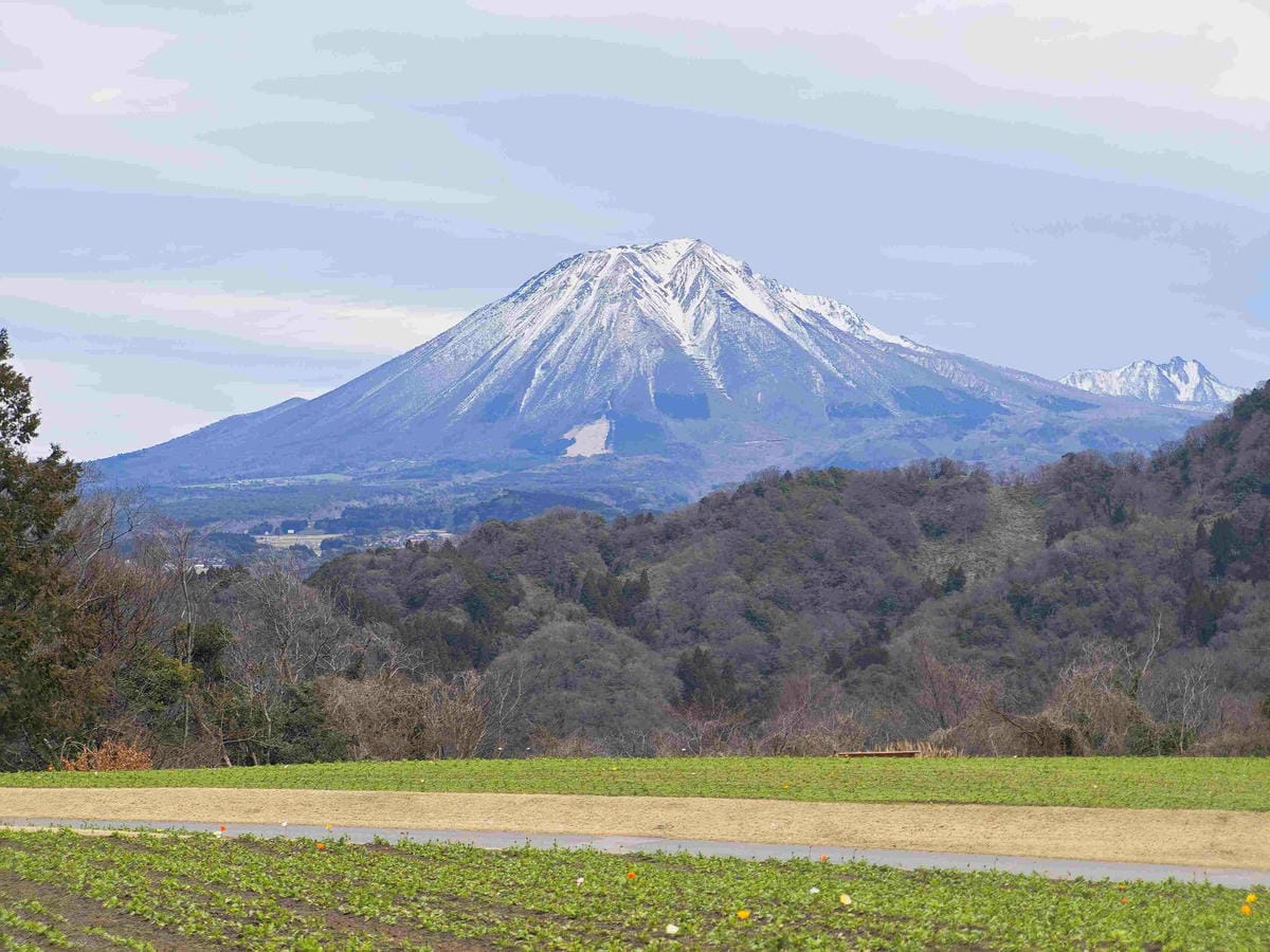 鳥取花回廊 (42).jpg