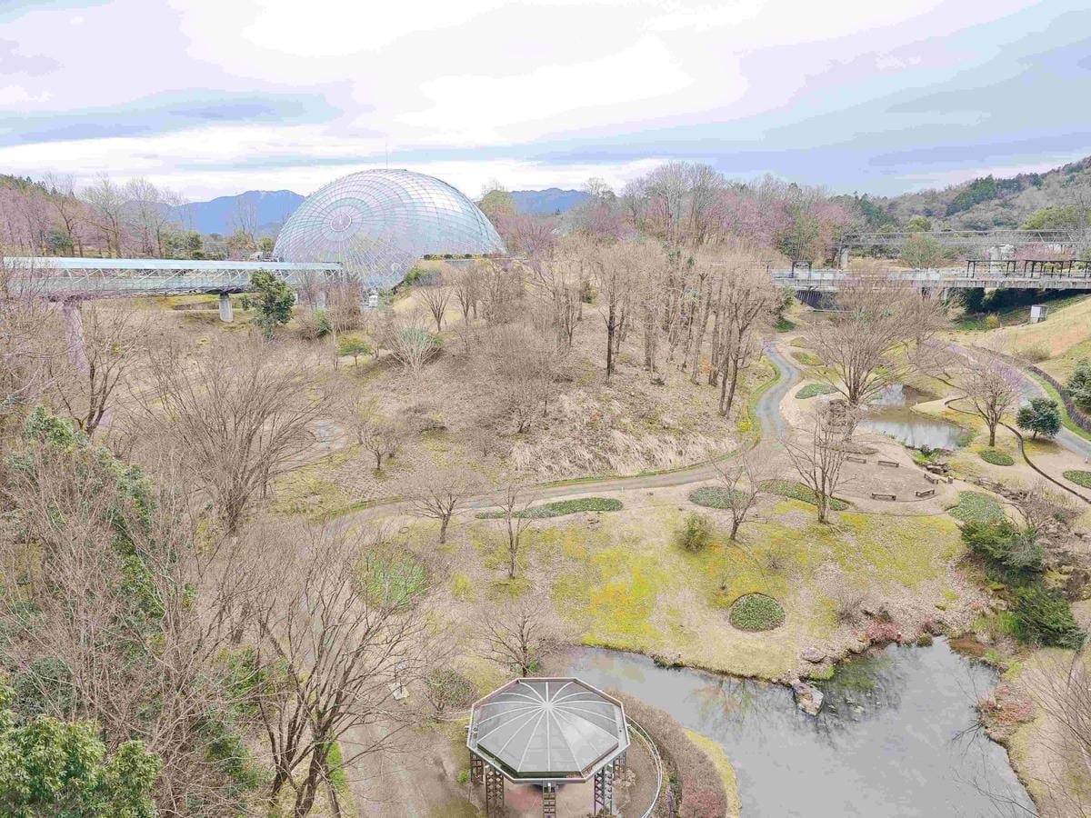 鳥取花回廊 (47).jpg 鳥取花回廊 (47).jpg