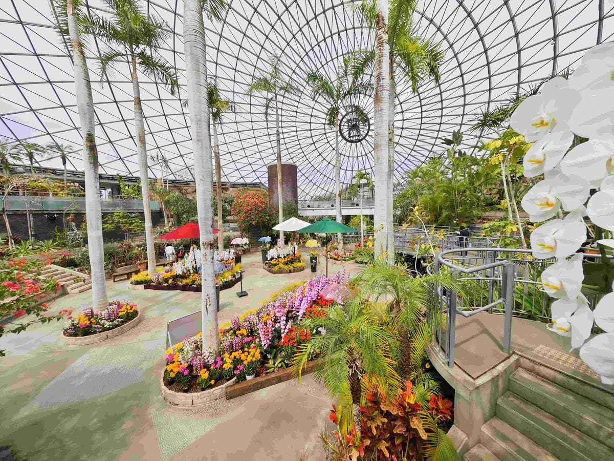 鳥取花回廊 (28).jpg 鳥取花回廊 (28).jpg