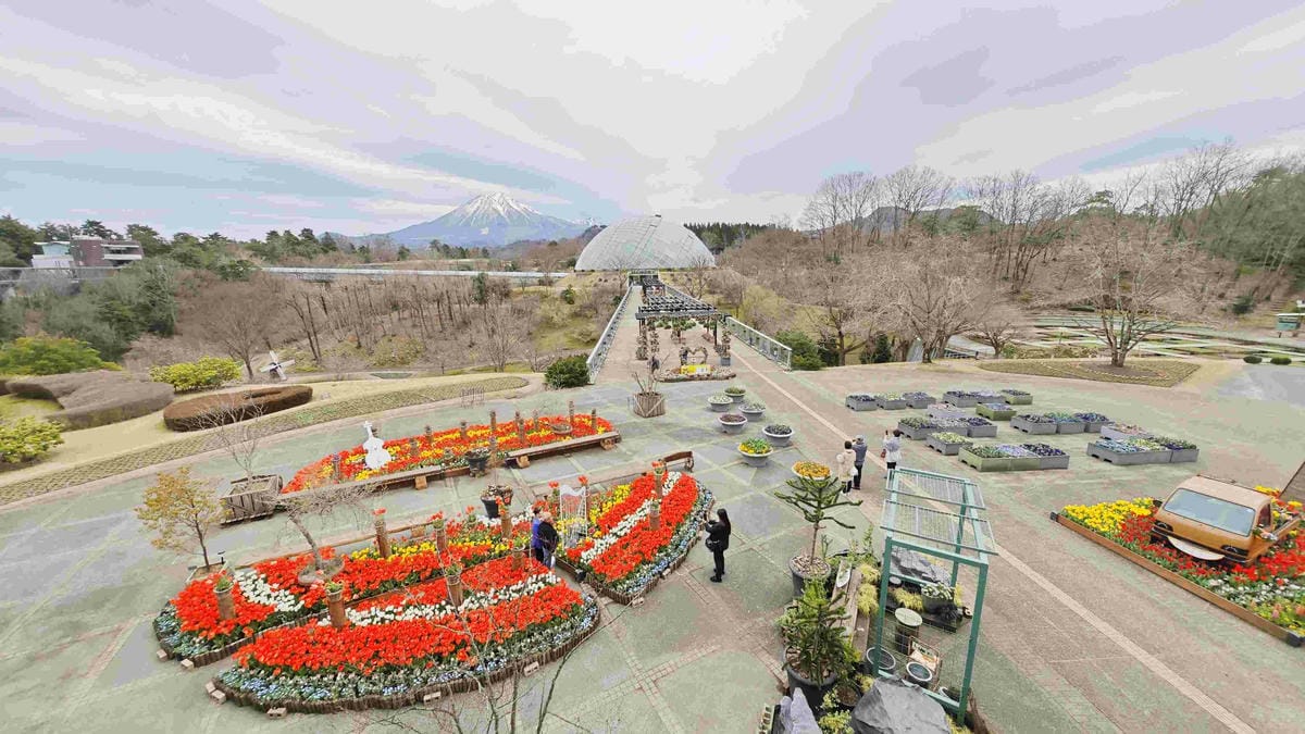 鳥取花回廊 (48).jpg 鳥取花回廊 (48).jpg