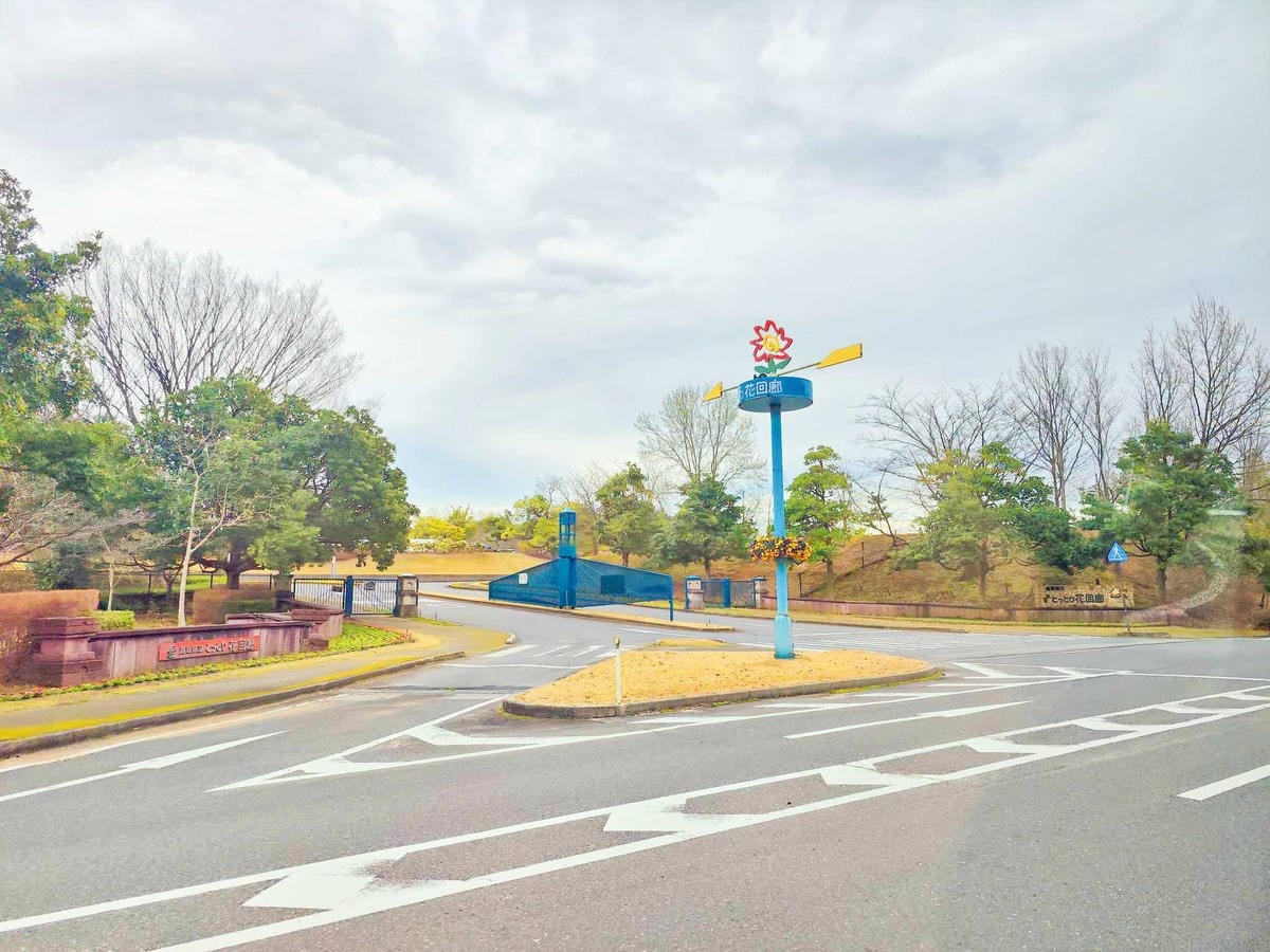 鳥取花回廊 (12).jpg 鳥取花回廊 (12).jpg