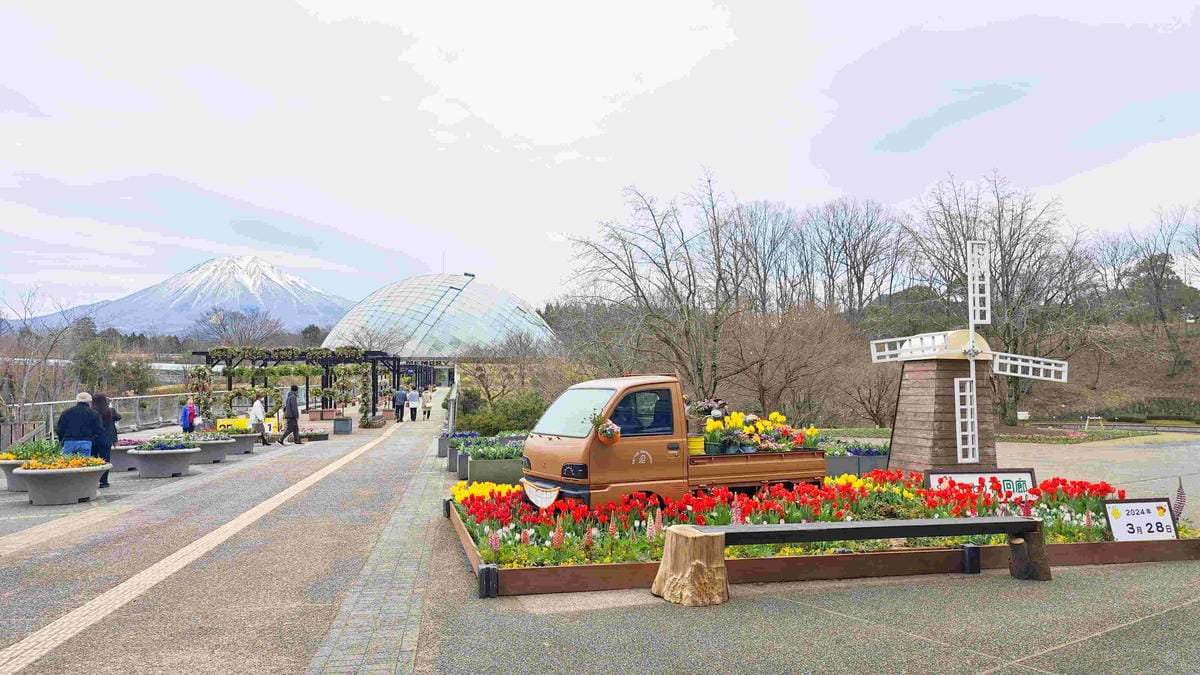 鳥取花回廊 (50).jpg 鳥取花回廊 (50).jpg