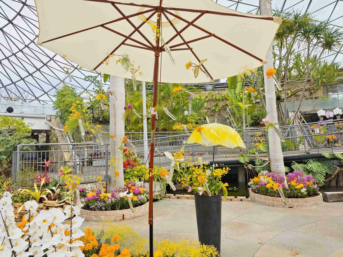 鳥取花回廊 (32).jpg 鳥取花回廊 (32).jpg