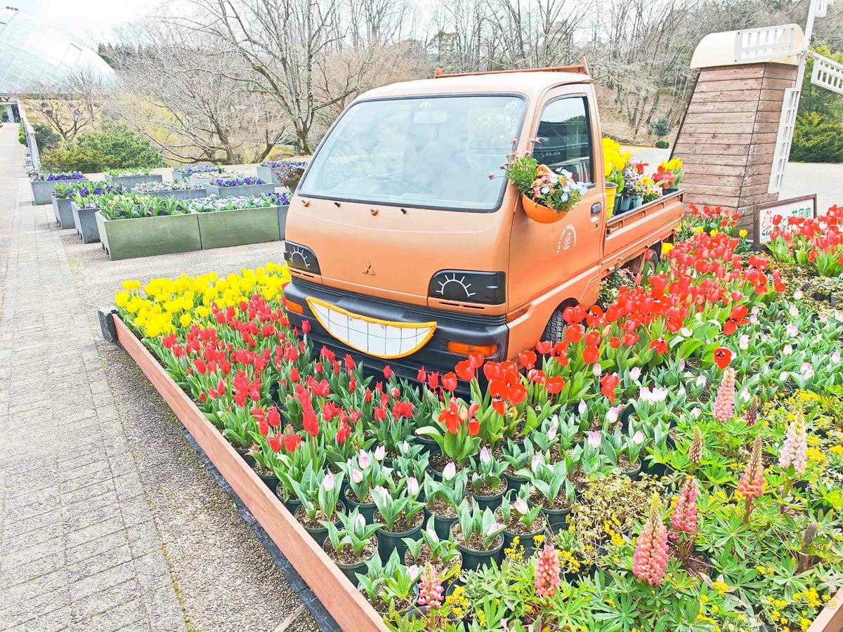 鳥取花回廊 (55).jpg 鳥取花回廊 (55).jpg