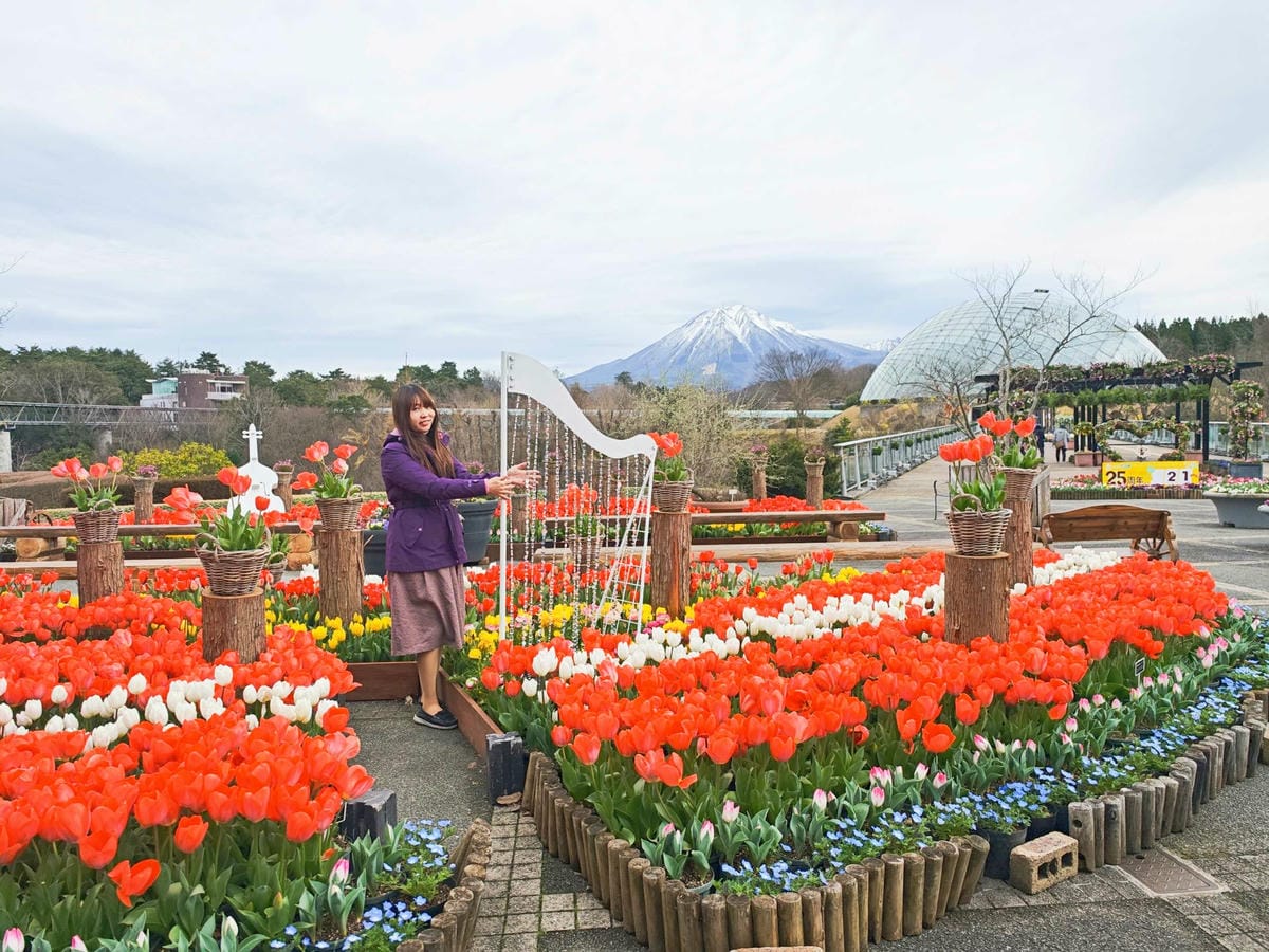 鳥取花回廊 (53).jpg 鳥取花回廊 (53).jpg