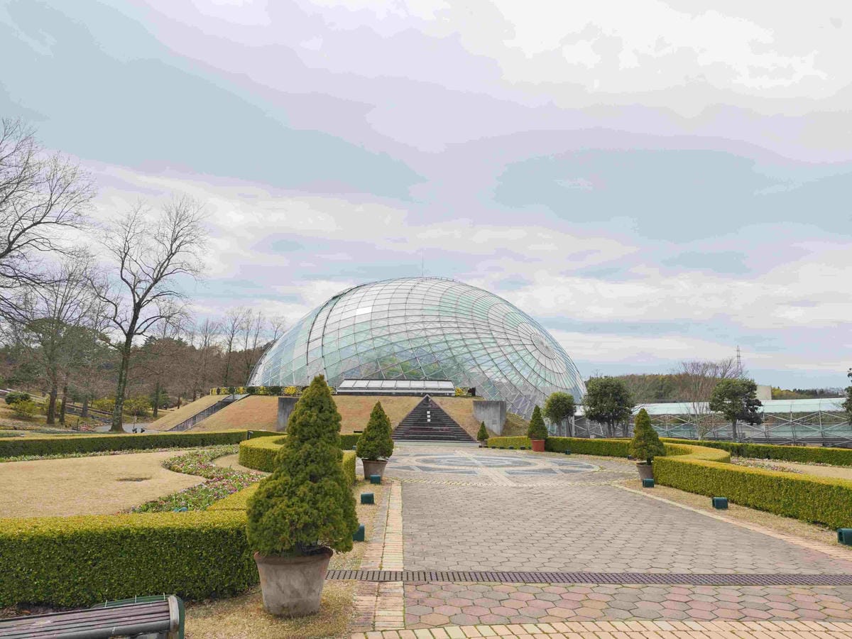 鳥取花回廊 (5).jpg 鳥取花回廊 (5).jpg